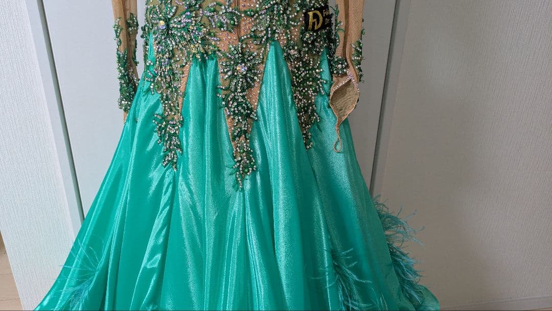 社交ダンス　スタンダードドレス　Felicia製