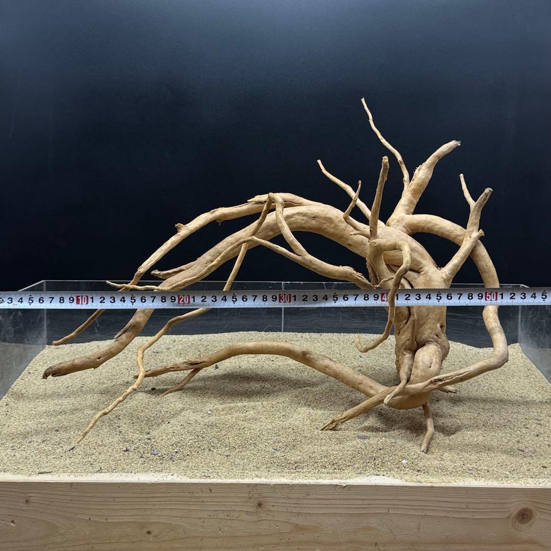 MDW-6989 特大ブランチウッド　流木　枝流木　アクアリウム