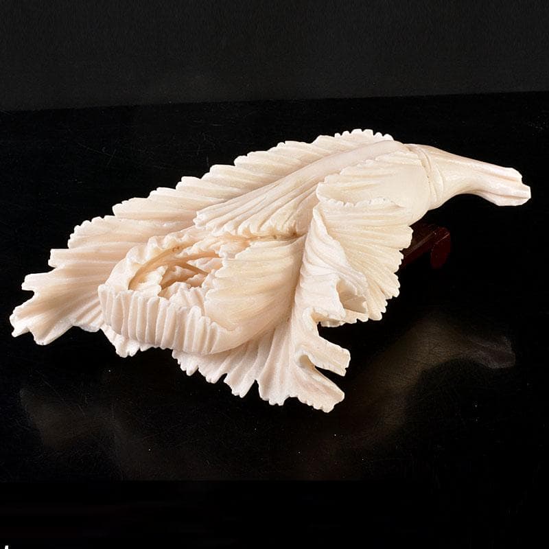 中国　玉石白玉彫刻　白菜　置物　飾台付　C　6846
