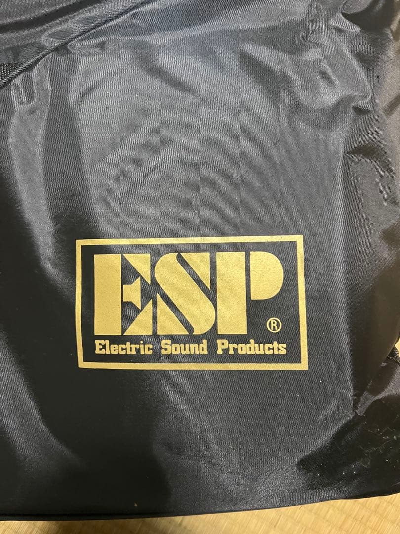 ESP GrassRoots G-STREAM-Miku エレキギター 初音ミク