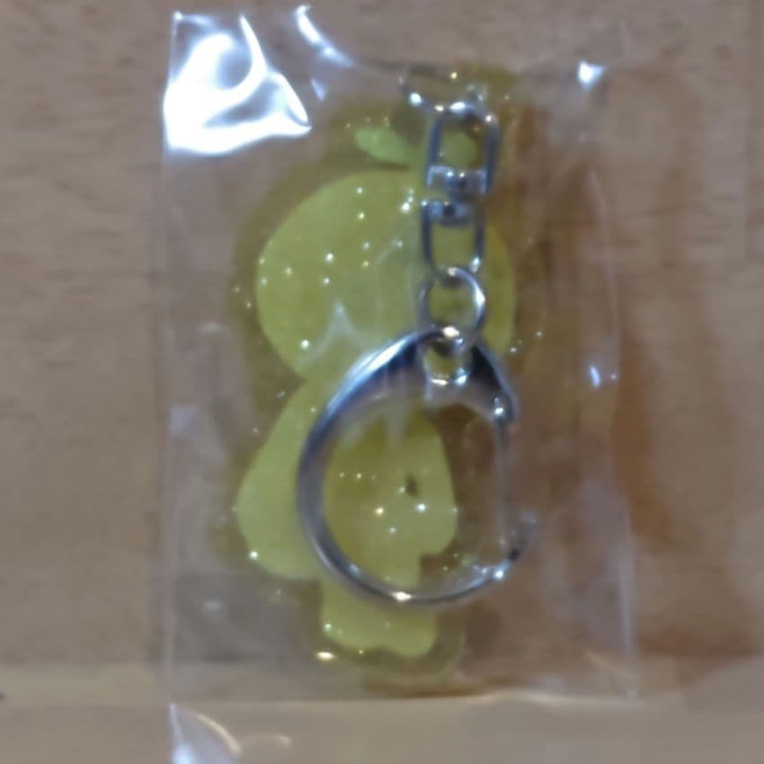 ゆず　図鑑　ガチャ　ゆず太郎　キーホルダー ３つ