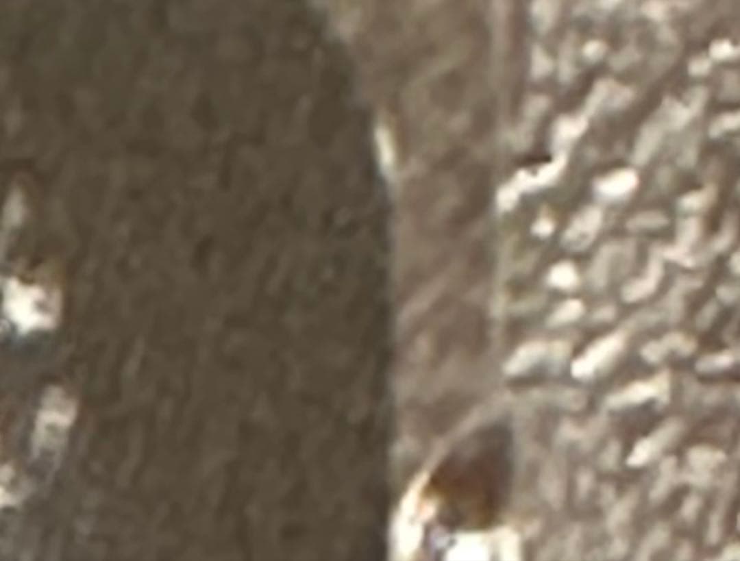 無窮の献身 アルベド PSA10