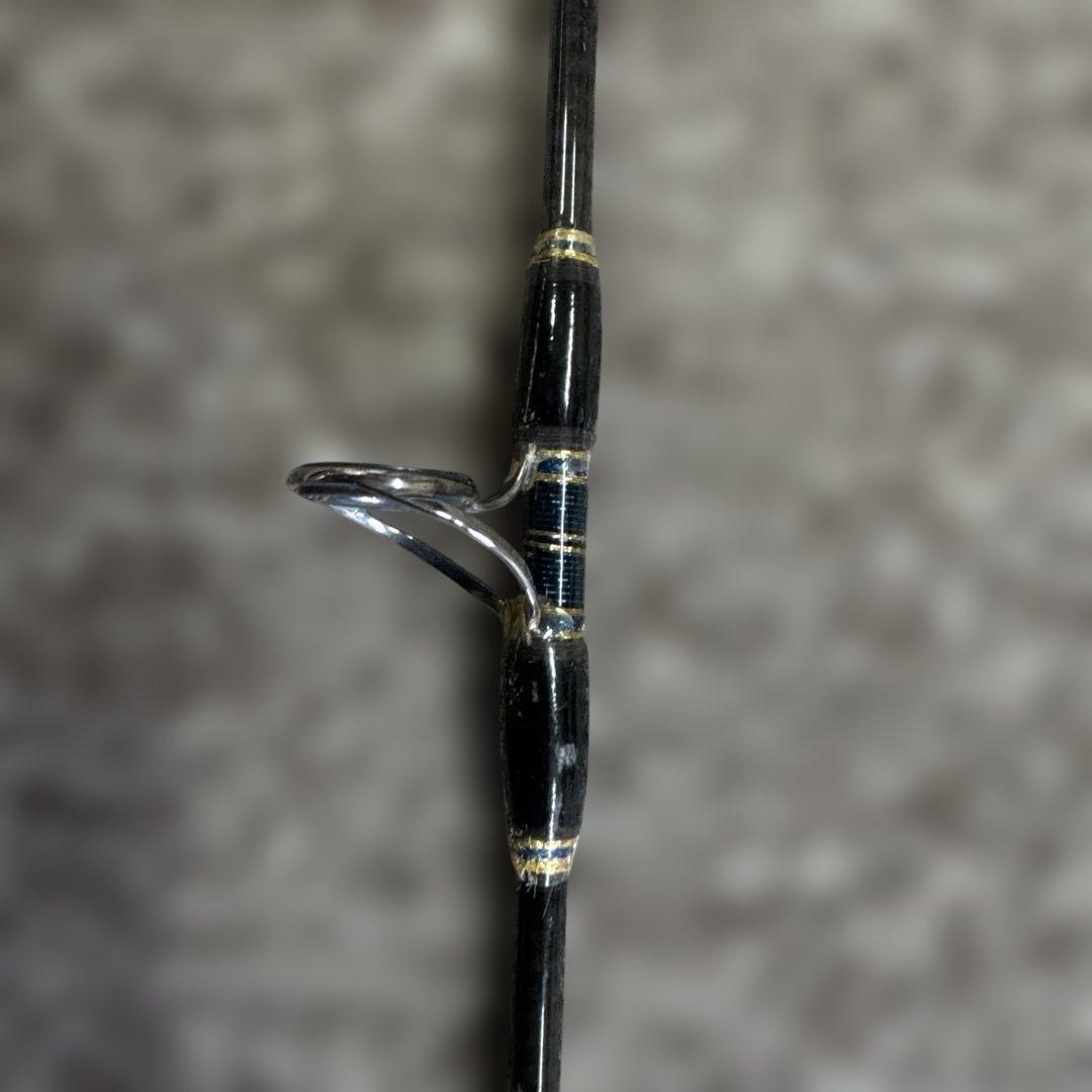 ロッド Daiwa SALTIGA SG DOGFIGHT 76