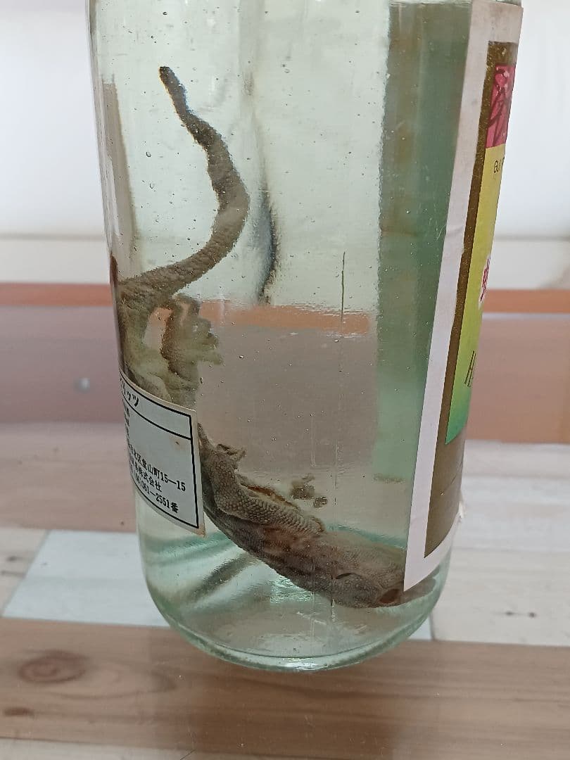 蛇鞭蛤蚧酒 & 蛤蚧酒 & 三蛇酒 中国酒 珍品 古酒 貴重