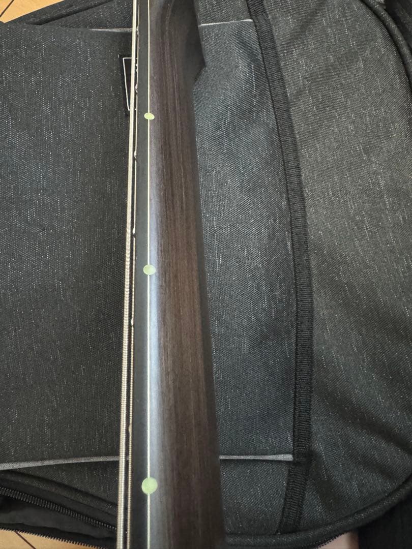 Omega　GOC Guitars レフティ 8弦 エレキギター