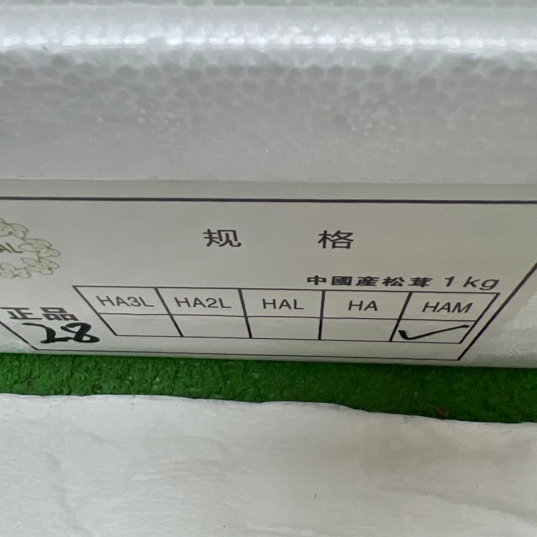 超新鮮な中国産松茸 つぼみ！綺麗！ 28本入り　 約1キロ入り