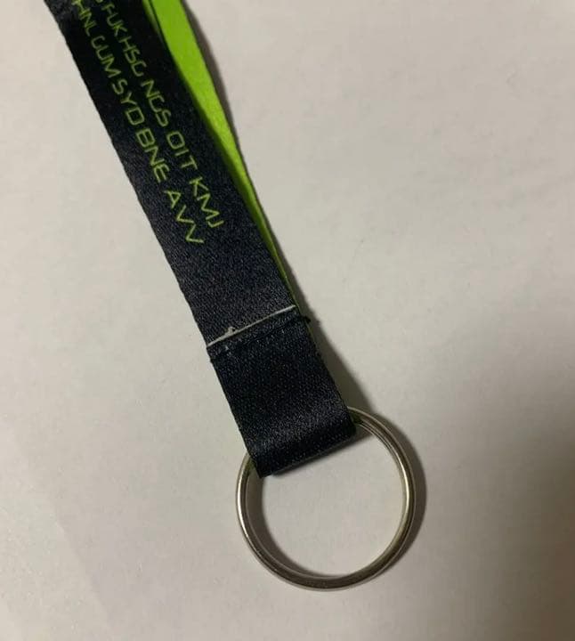 ANA ネックストラップ 767 30TH ANNIVERSARY