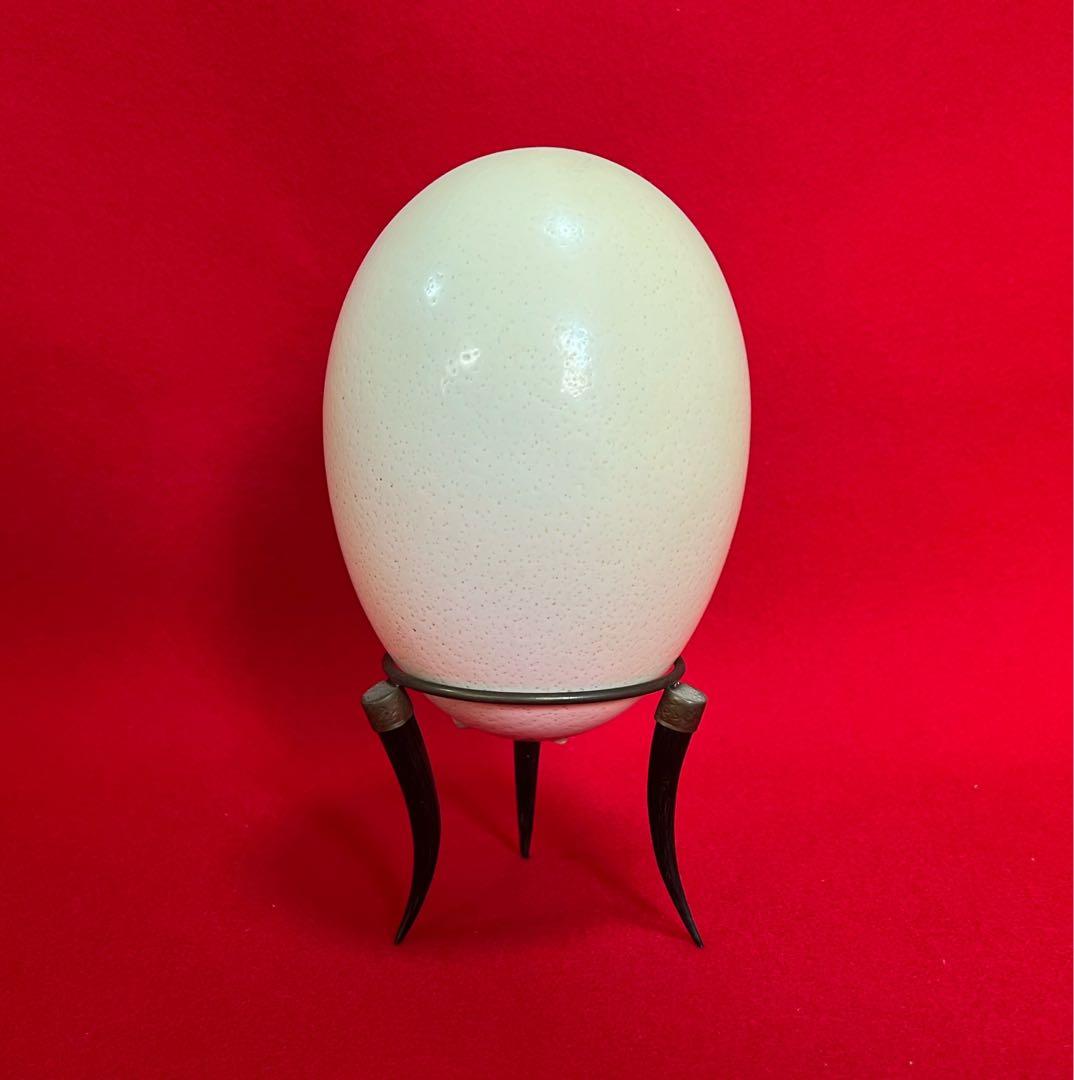 美術品 ダチョウ卵彫刻 置物 在銘 南アフリカ產