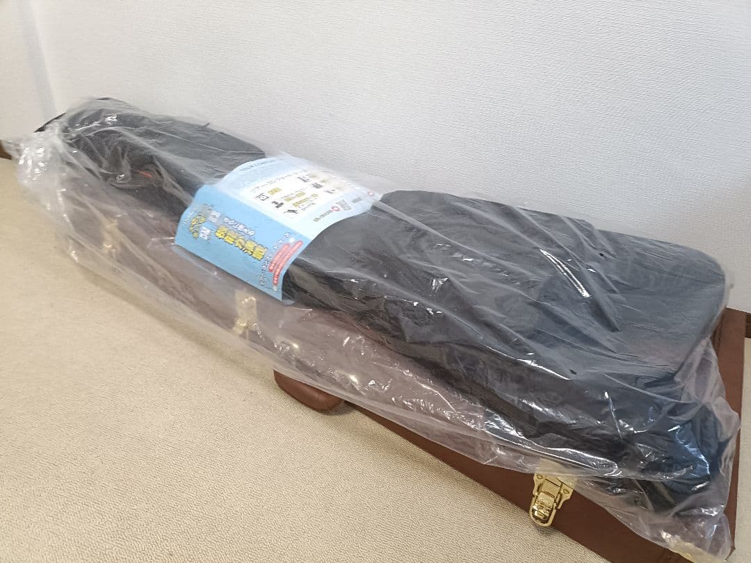 ⭐*️様 Epiphone by Gibson 1958 Korina Flyi