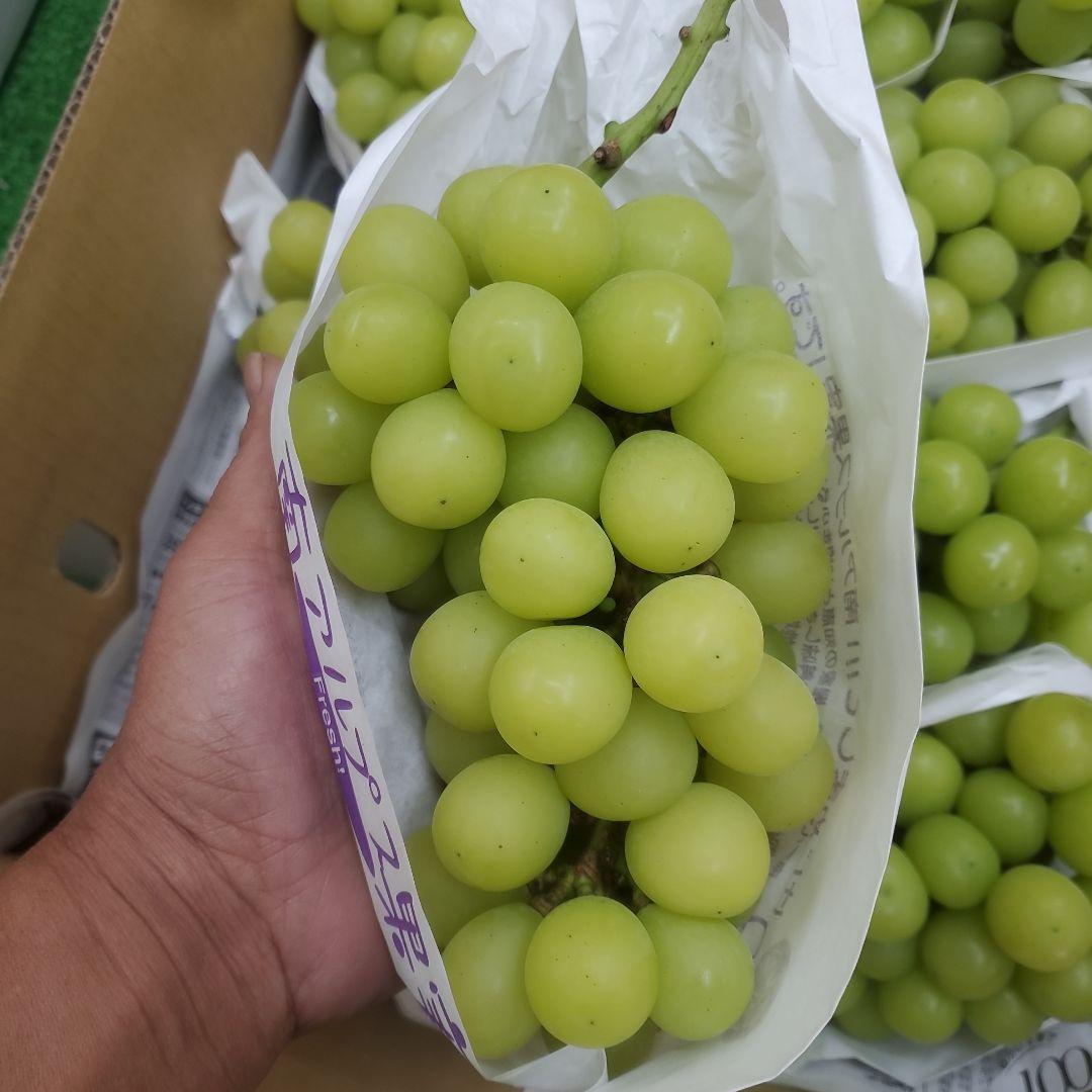 1⃣ 山梨県産 シャインマスカット １２房入り 箱込み5.3キロ