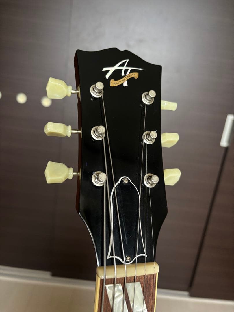 ギター Archtop Tribute AT205MD/LFD Sunburst