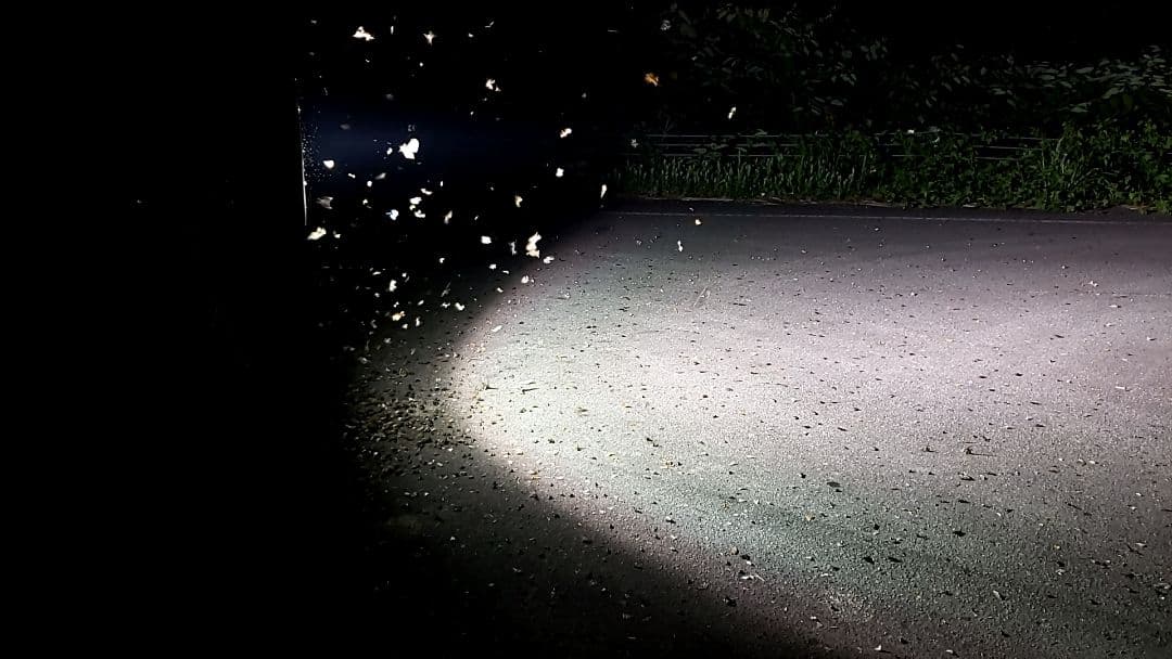 オオクワガタライトトラップ1000w400w