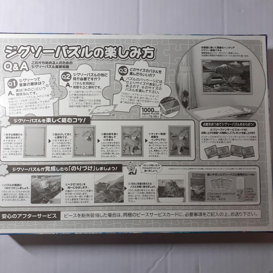 廃盤　貴希 TAKAKI　1000ピース ジグソーパズル　ライトオブリバース