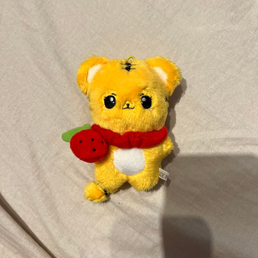 TWICE チェヨン　マスター　ぬいぐるみ