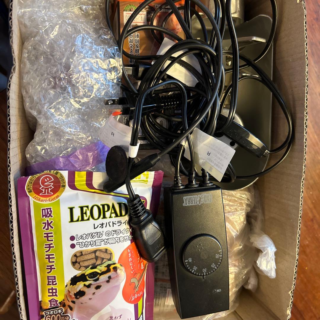 メルカリ市限定価格　EXOTERRA 爬虫類飼育セット