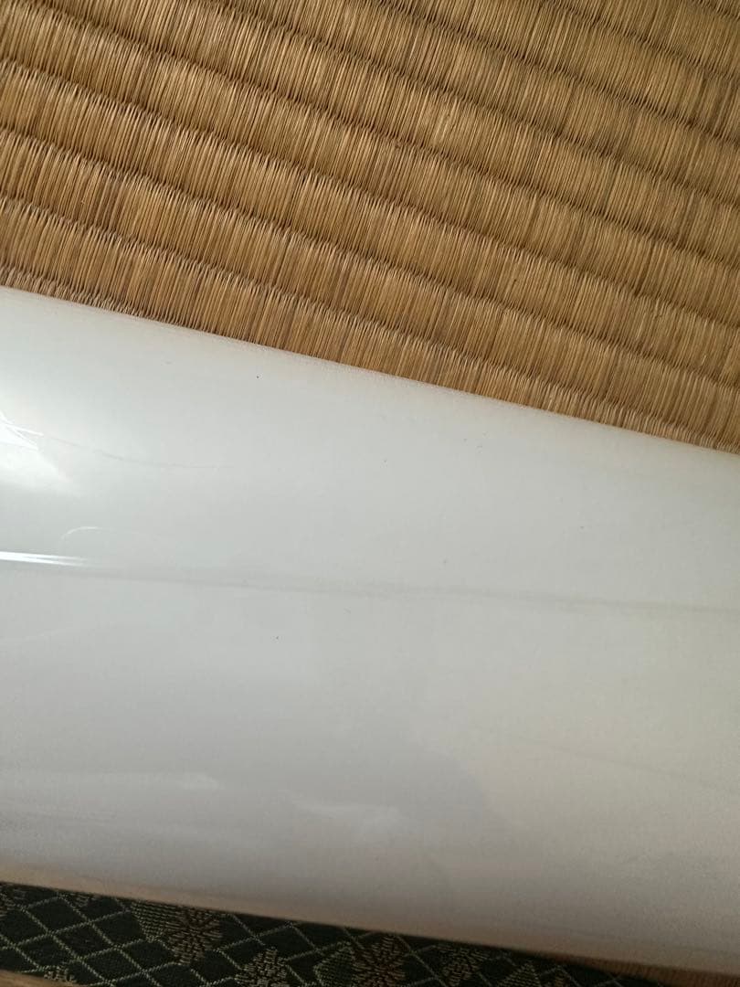 佐野ひなこ 等身大ポスター 赤ビキニで挑発