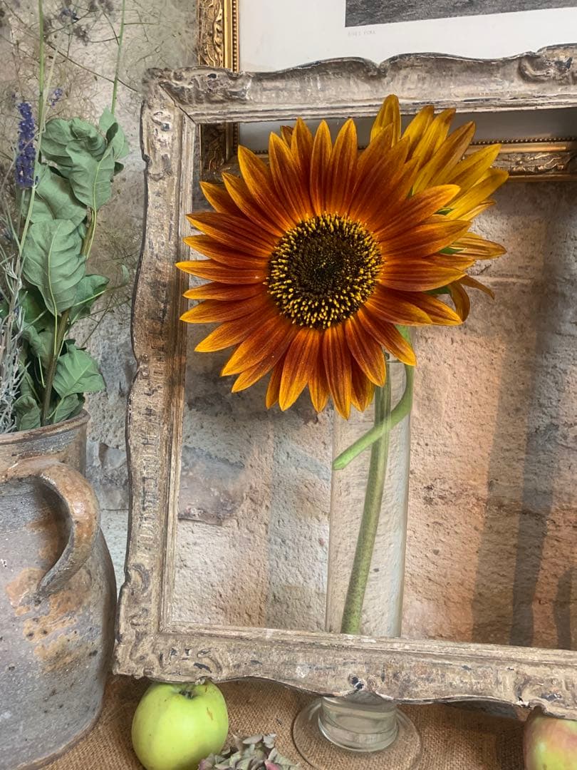 フランス 大型 アンティークフレーム 木彫 額縁 43x34cm