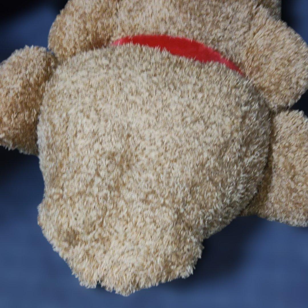 安立屋限定 特等 スタンダードプードル トイプードル 浅草 いぬくじ