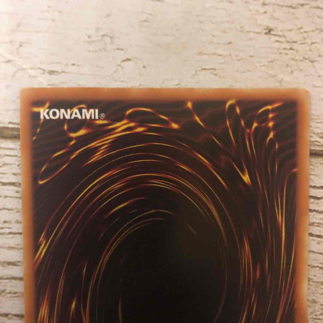 ローダー発送★遊戯王★竜騎士ガイア★レリーフ★309-057