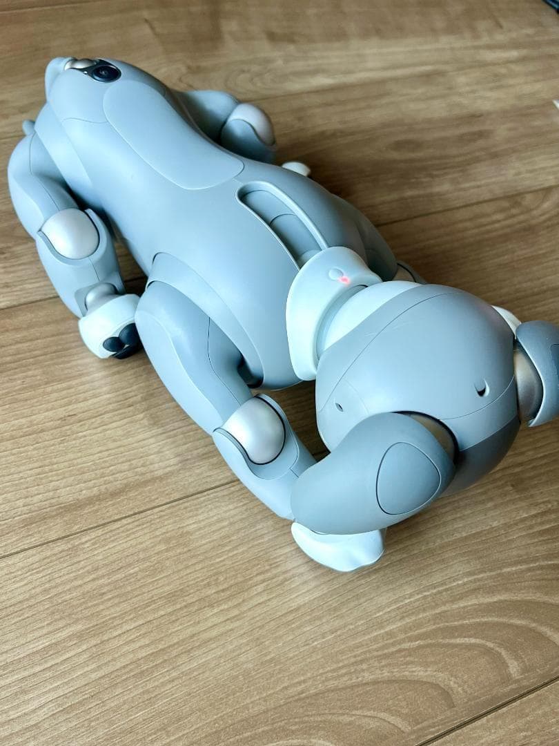 「Hiro 」Sony aibo ERS-1000 「黒ゴマエディション」