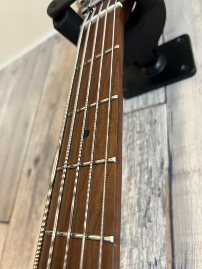 bacchus WL5-ASH BLACK 5弦 ジャズベ