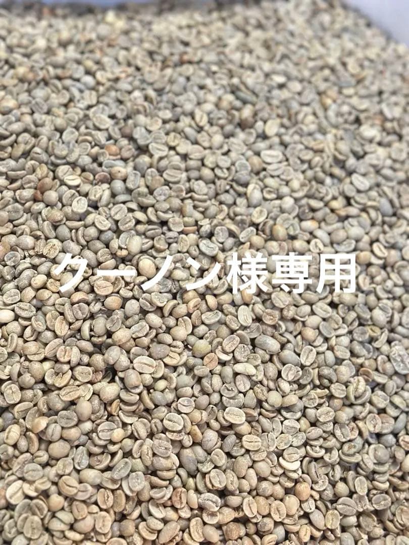 爆安!!【コーヒー生豆】タンザニアAA 5kg※送料無料