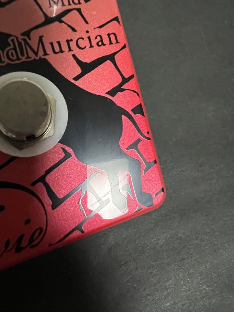 ギター Vivie MadMurcian