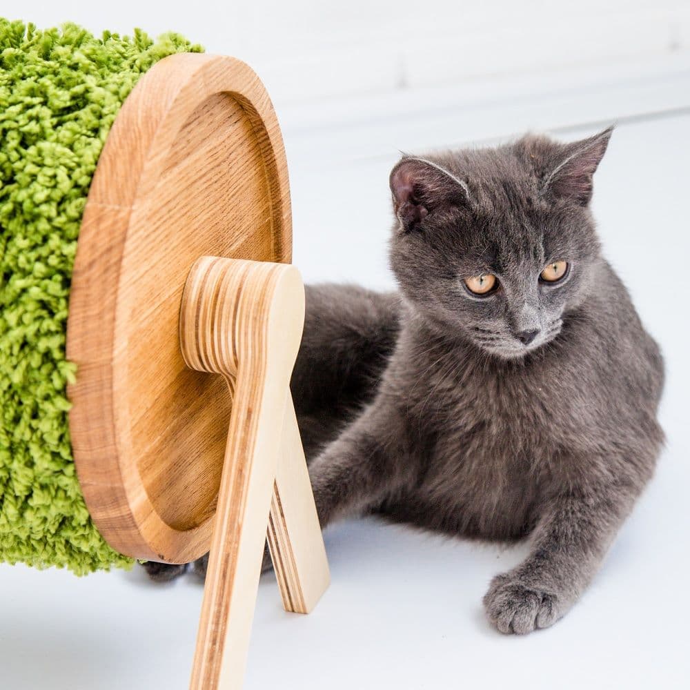 【新品】猫爪研ぎ&遊具 インテリア Pettel Sheepy