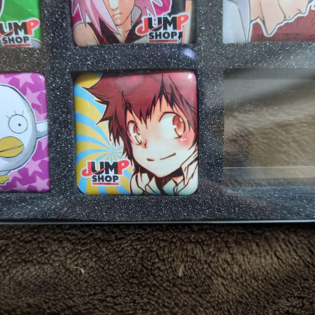 限定 缶バッジ 家庭教師ヒットマンREBORN! 沢田綱吉 リボーン