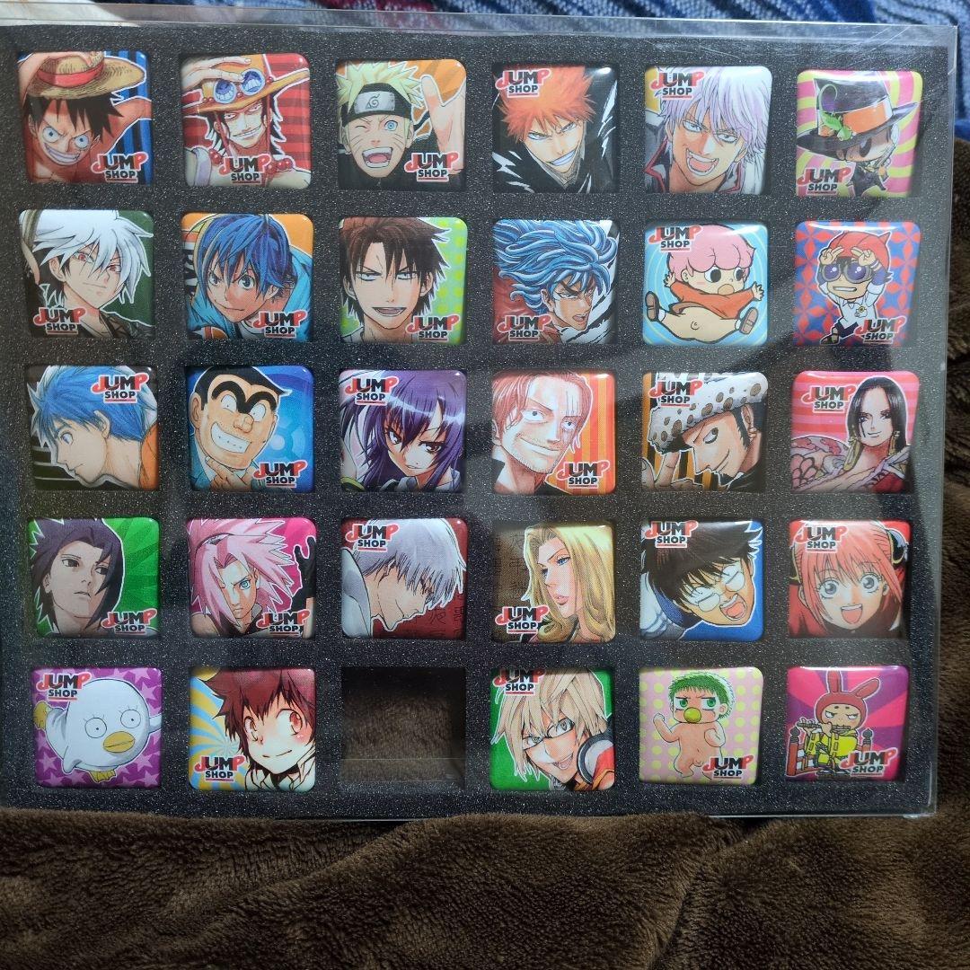 限定 缶バッジ 家庭教師ヒットマンREBORN! 沢田綱吉 リボーン