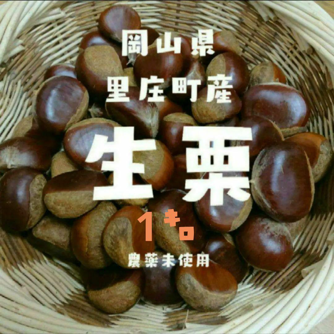 生栗 1キロ