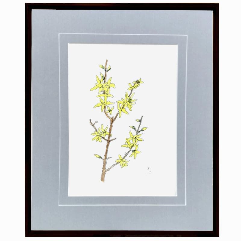 ☆ 坂本直行 ☆「 れんぎょう 」水彩画　1982年3月作　証明書有り　未使用！