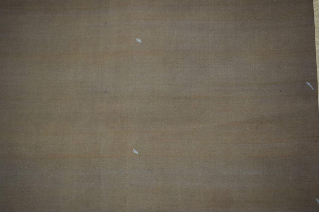 真作/狩野柳雪/菊慈童図/菊仙人図/掛軸☆宝船☆W-653