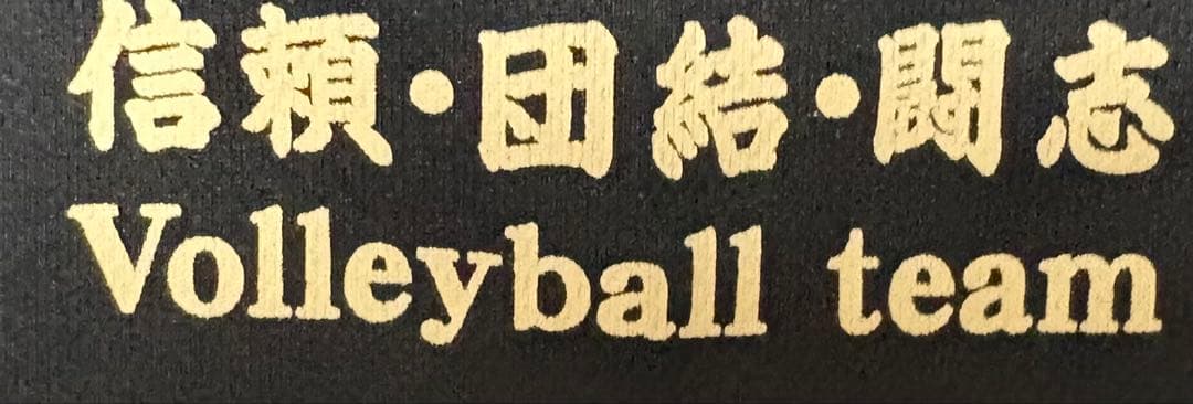 バレーボールシャツ ネイビー NSSU