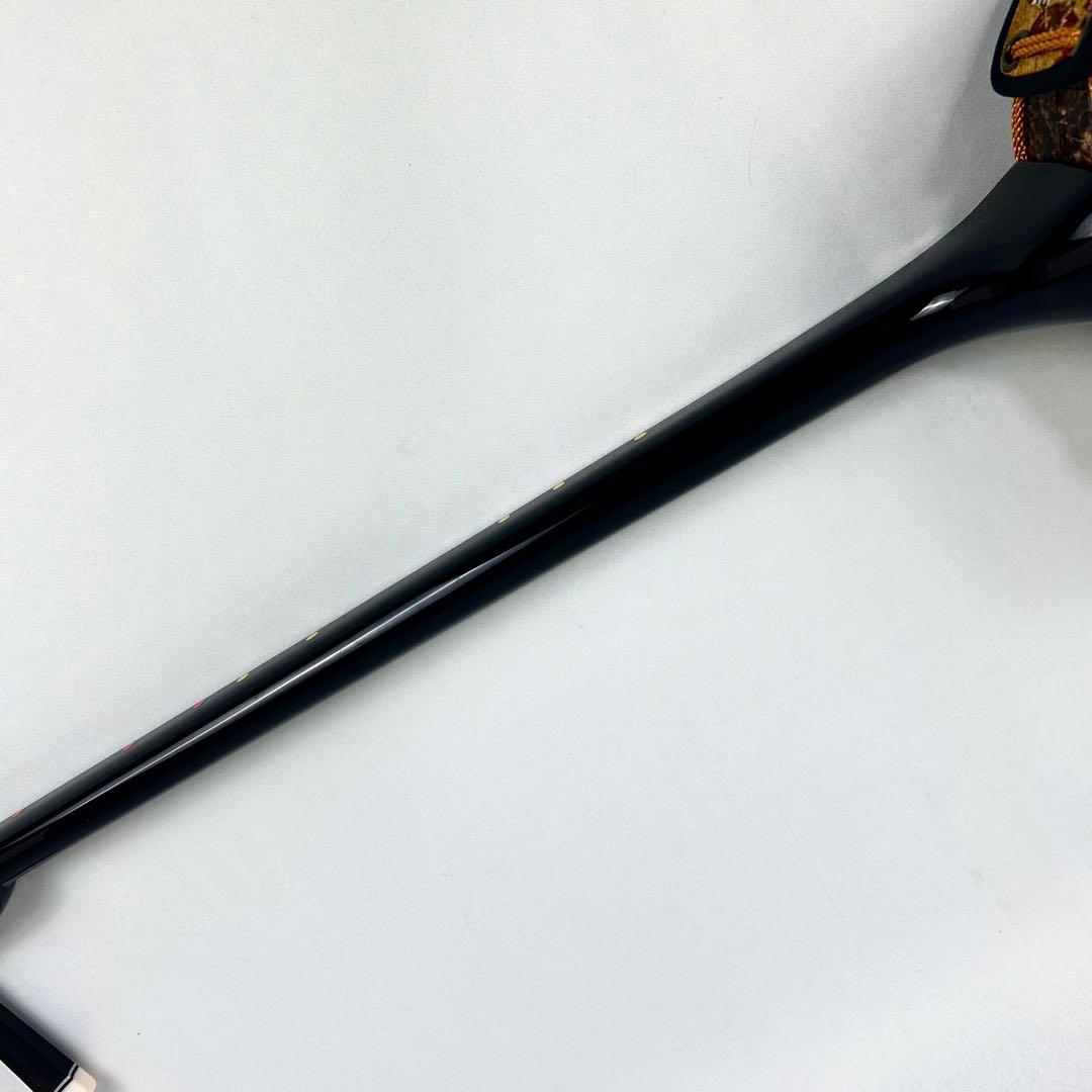 【美品】沖縄 三線 本革 蛇革 ハードケース付 付属品多数 初心者入門