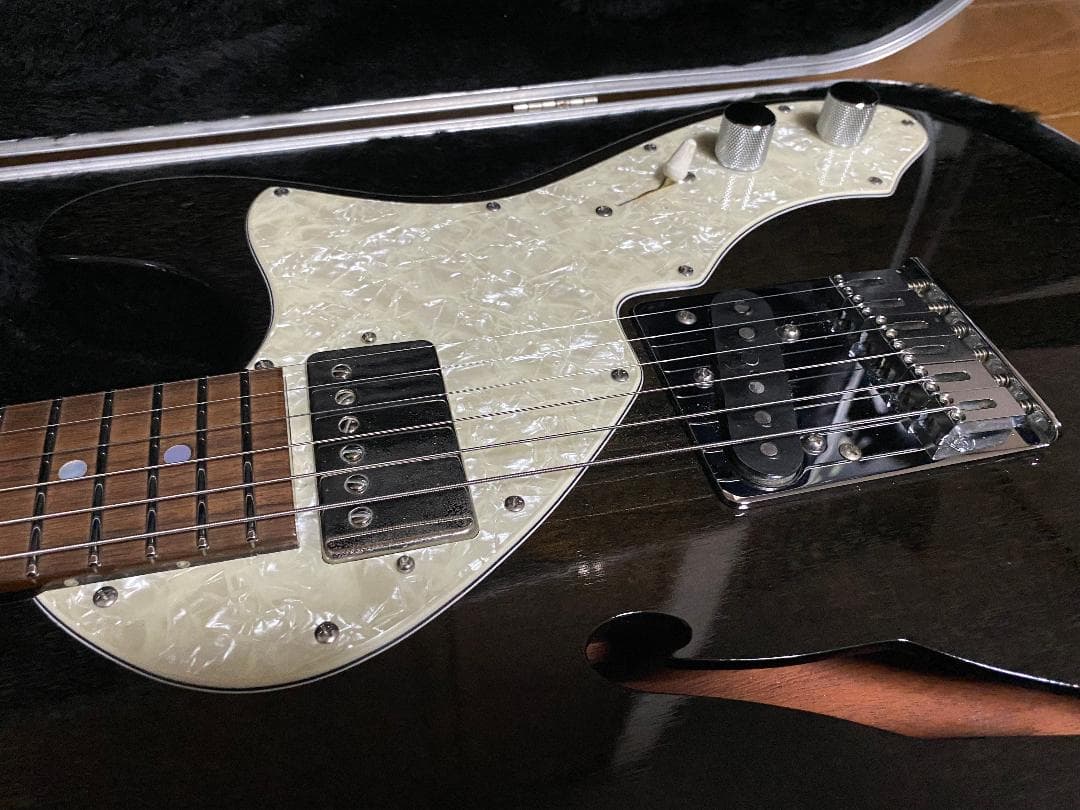 FREEDOM CUSTOM GUITAR BLACK PEPPER ケース付