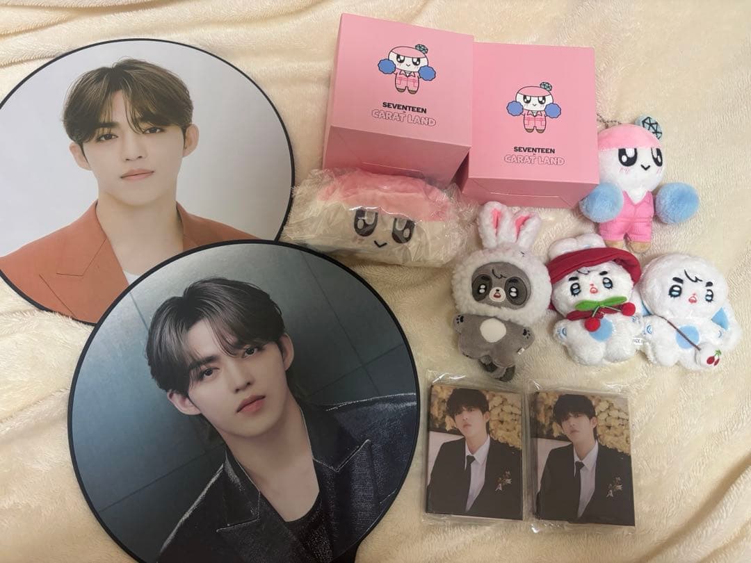 SEVENTEEN エスクプスグッズ