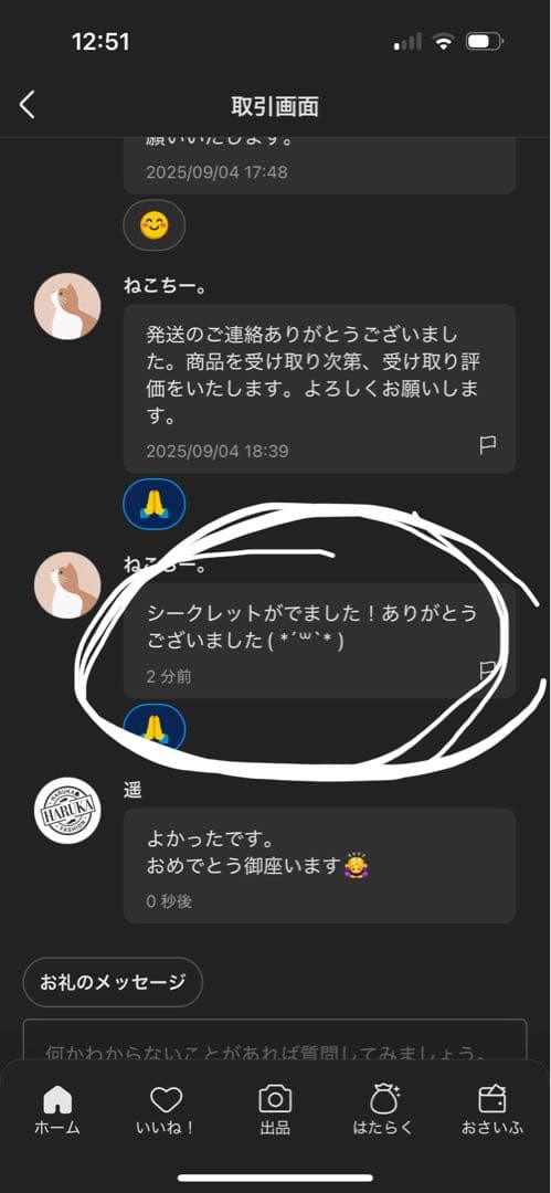 【正規品・未開封】ラブブ Labubu Big into Energy 2箱