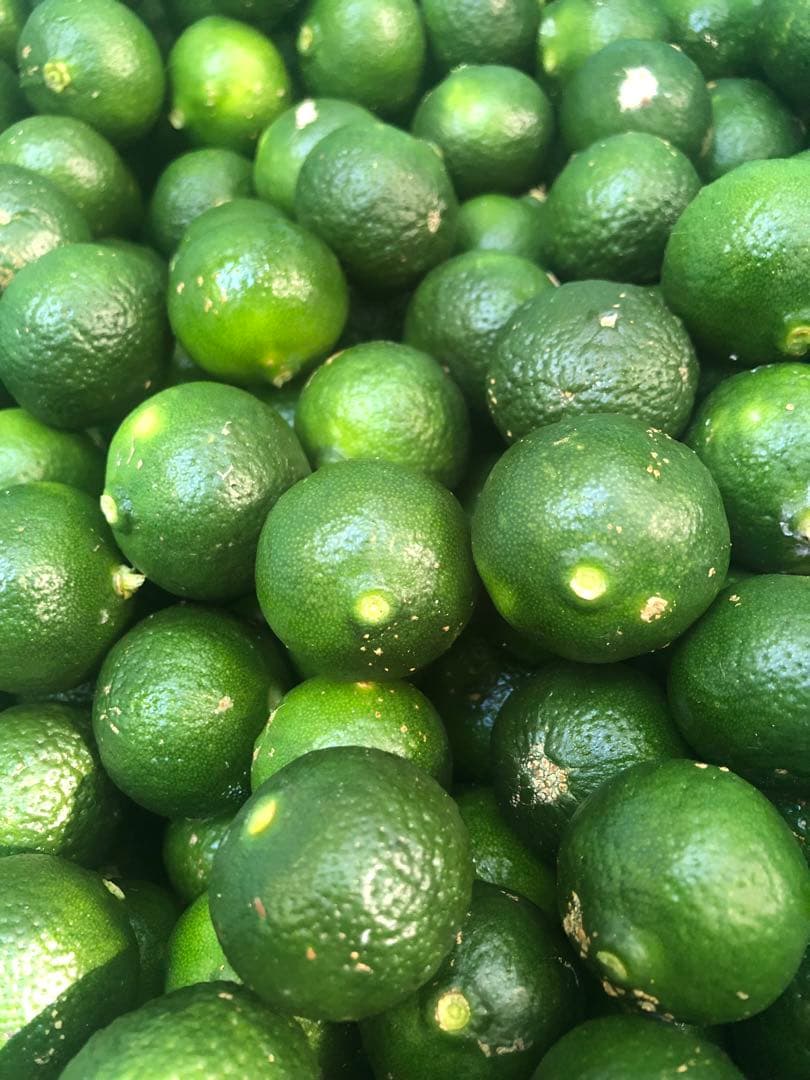 ❣️おかじ❣️　シークワーサー20キロ送料込