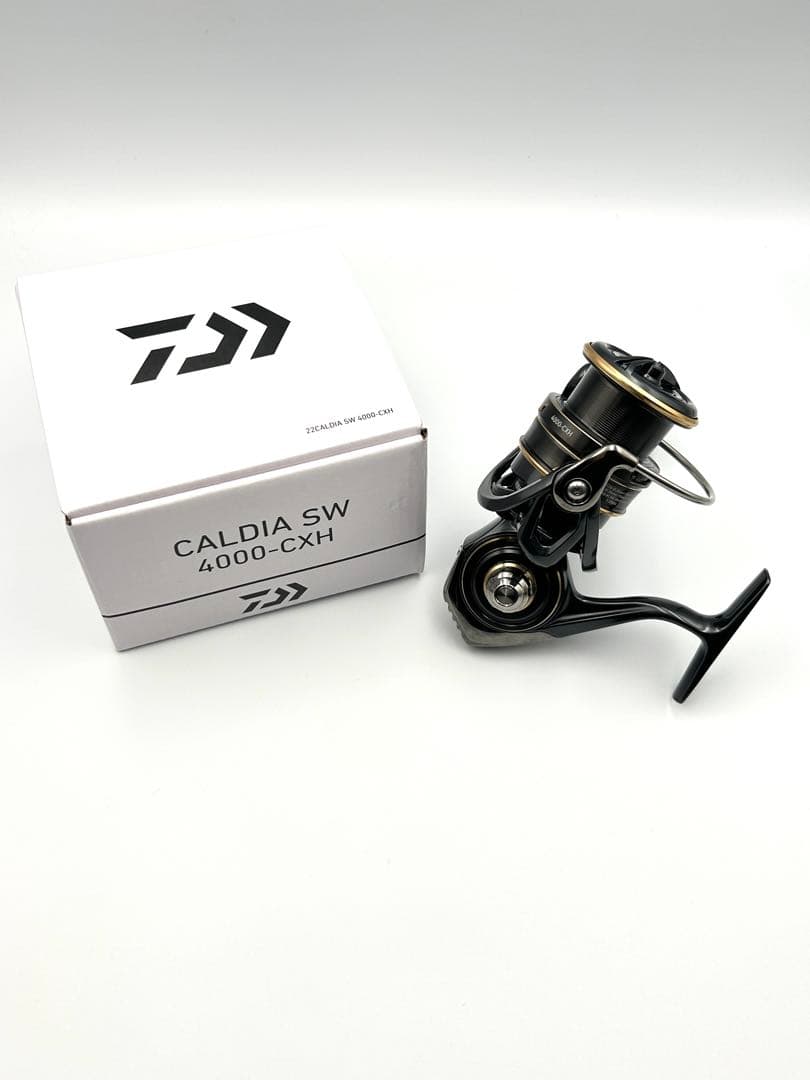 DAIWA ダイワ 22 CALDIA カルディア SW 4000-CXH