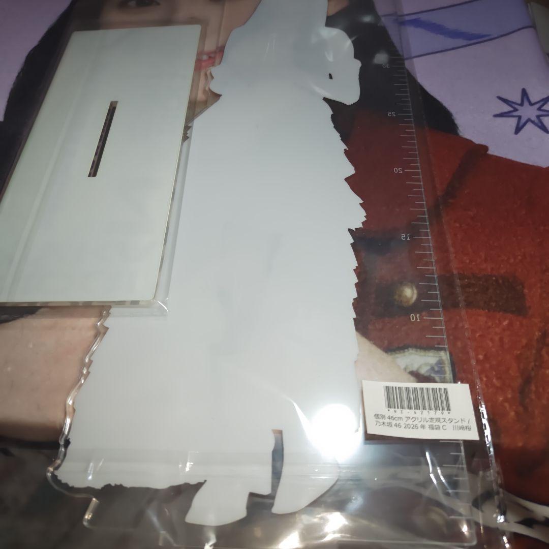 乃木坂46 川﨑桜 2026年福袋C 個別46cmアクリル定規スタンド