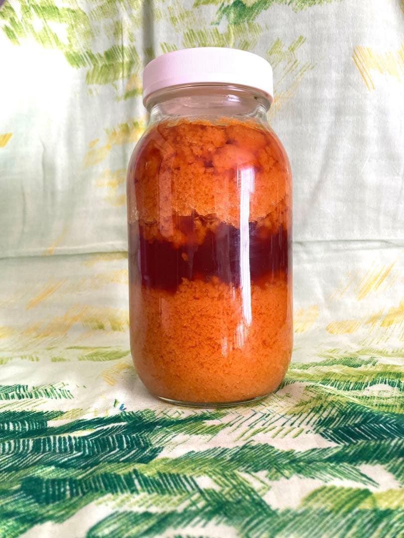 ニホンミツバチ　日本蜜蜂　夏蜜　1120g