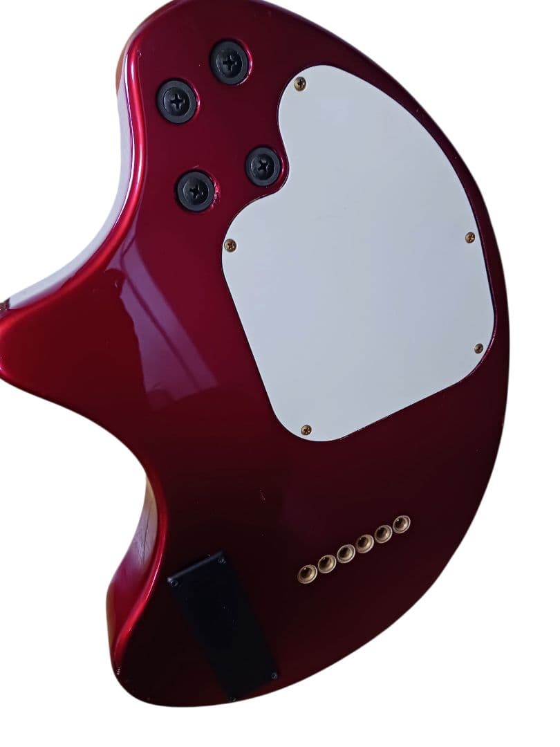 FERNANDES ZO-III GOLDパーツ　ZO-3 ゾーさん　ケース付き