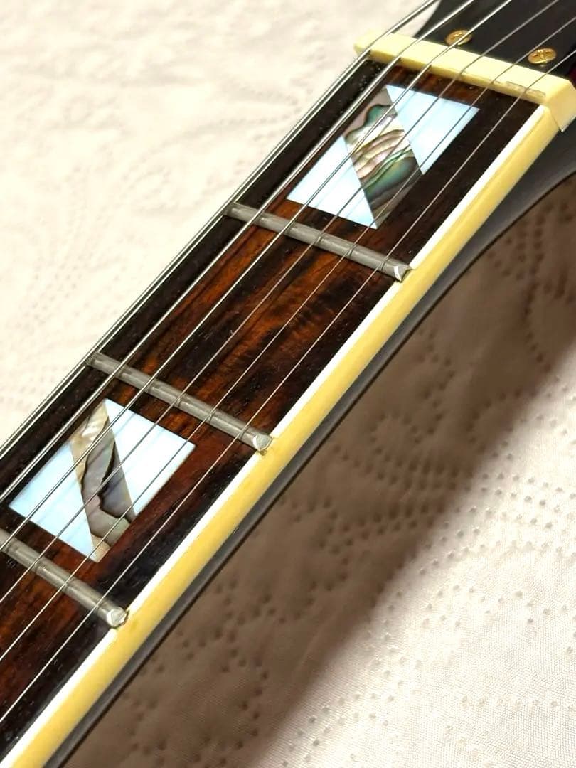 超美品 アリアプロⅡ PE セットネック アーチトップ