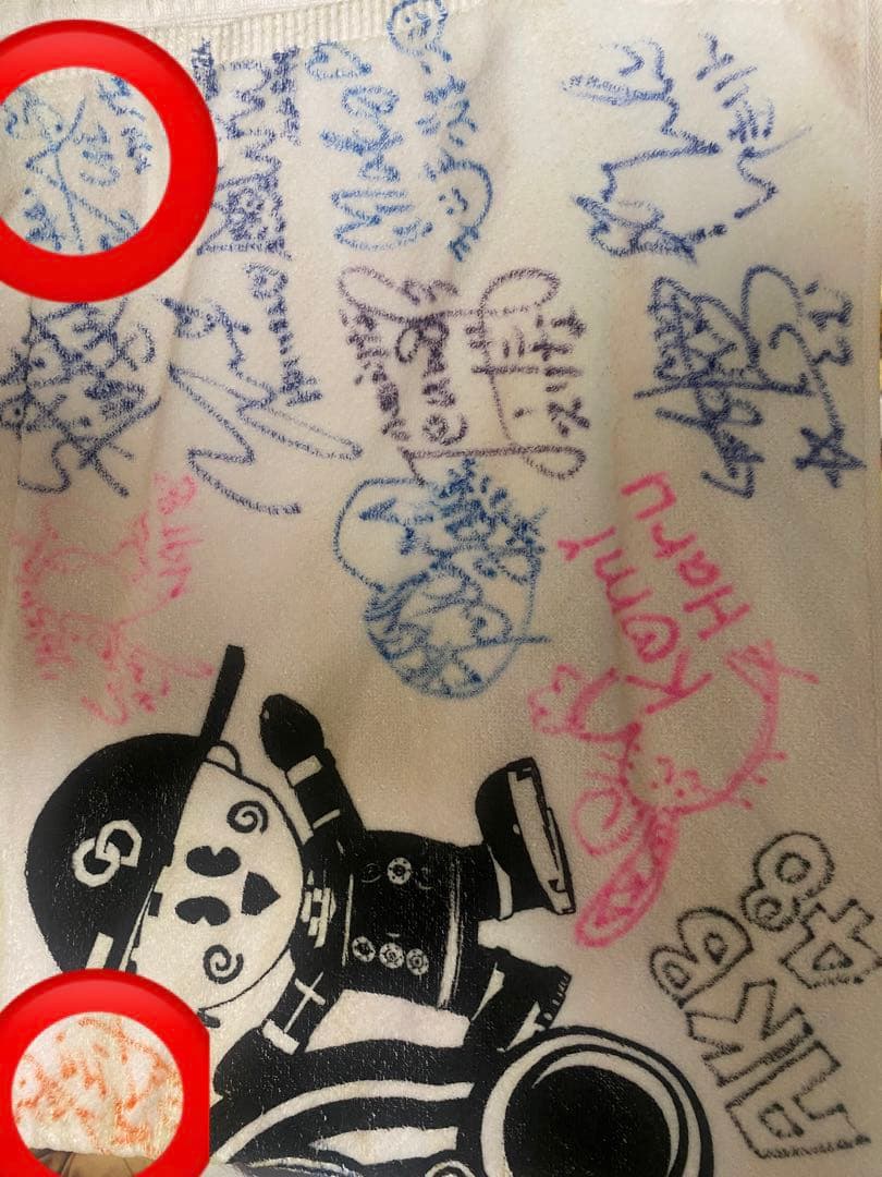 48グループ　直筆サインタオル