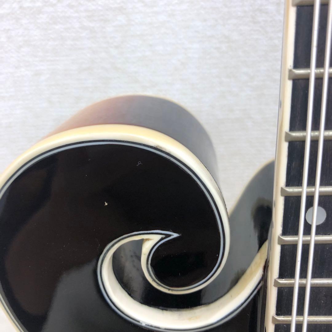 PLAY TECH プレイテック F型 マンドリン ハードケース付き