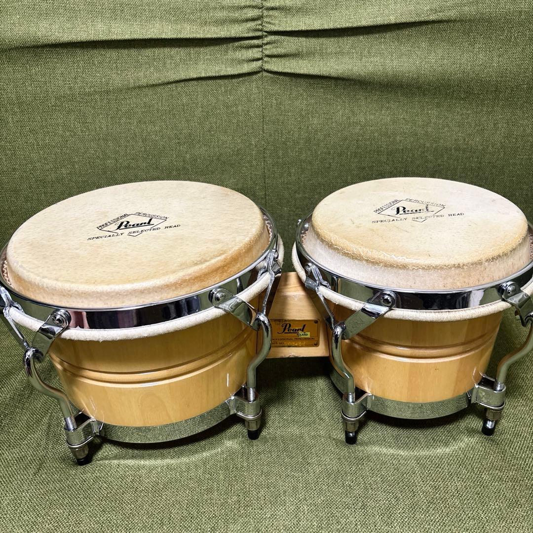 【Pearl】ボンゴ・Bongo
