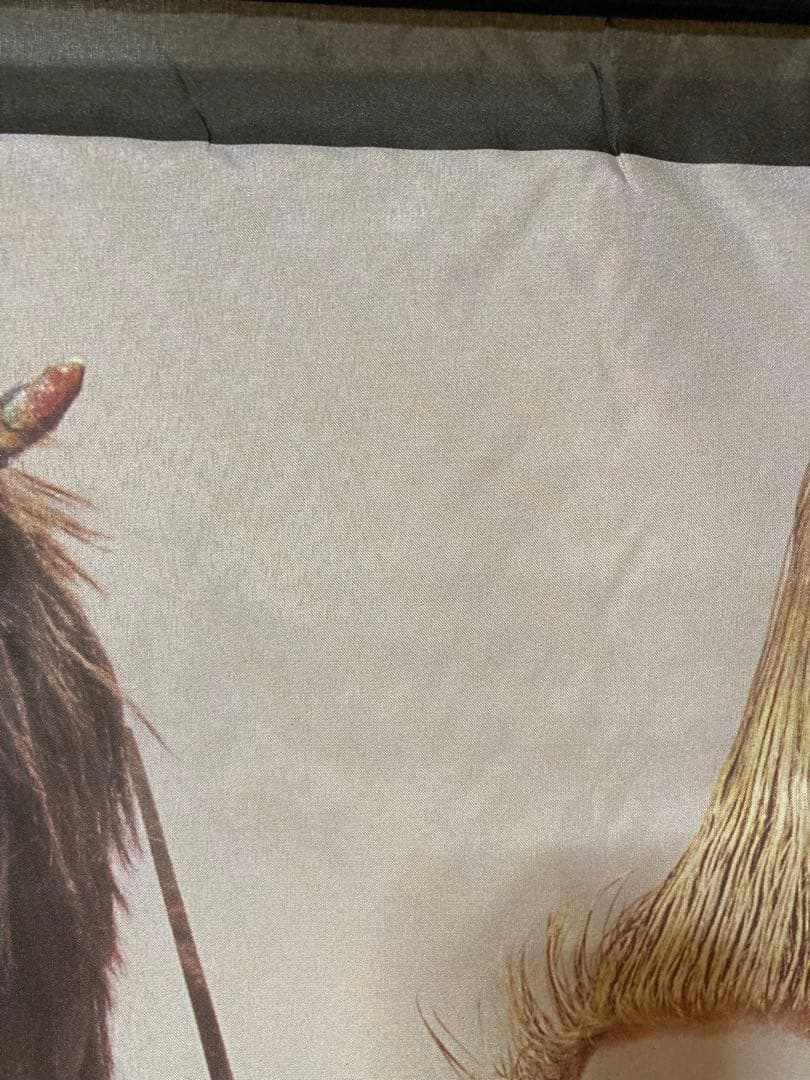 年代物⭐︎希少品　超レア　聖飢魔II ビッグタペストリー　エース清水