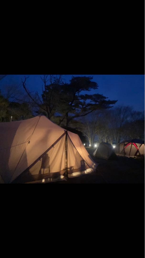 スカイパイロット（トリプルファスナー）、インナーテント、二股の極みセット