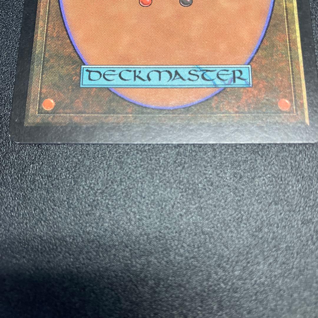 MTG 適者生存　日本語　再録禁止